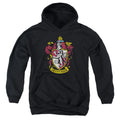 Harry Potter Gryffindor Crest Youth Hoodie