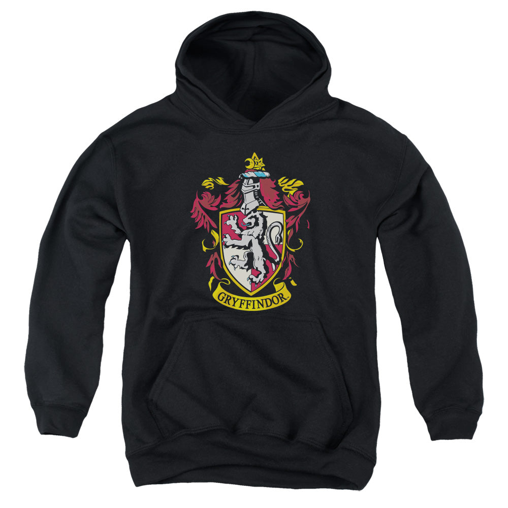 Harry Potter Gryffindor Crest Youth Hoodie