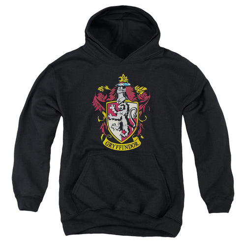 Harry Potter Gryffindor Crest Youth Hoodie