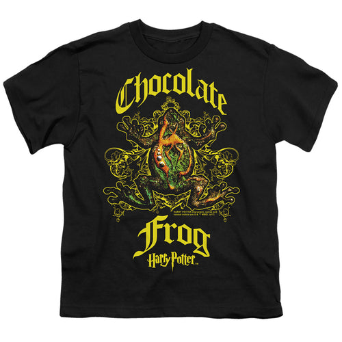 Harry Potter Chocolate Frog Youth/Toddler T-Shirt