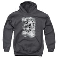 Justice League Atmospheric Youth Hoodie