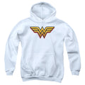 Wonder Woman Airbrush Ww Youth Hoodie