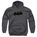 Batman Spray Paint Logo Youth Hoodie