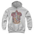 Harry Potter Gryffindor 1 Youth Hoodie