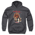 Labyrinth Should You Need Us Youth Hoodie