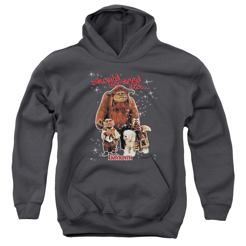 Labyrinth Should You Need Us Youth Hoodie