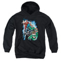 Justice League Heroes Unite Youth Hoodie