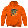 Batman Batman Vs Catman Pullover Hoodie