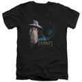 The Hobbit The Door V-Neck T-Shirt