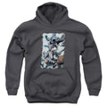 Batman Punch Youth Hoodie