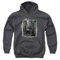 The Hobbit Gandalf Youth Hoodie