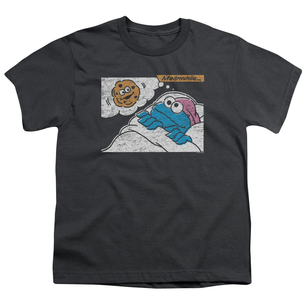 Sesame Street Meanwhile Youth/Toddler T-Shirt