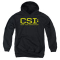CSI Logo Youth Hoodie