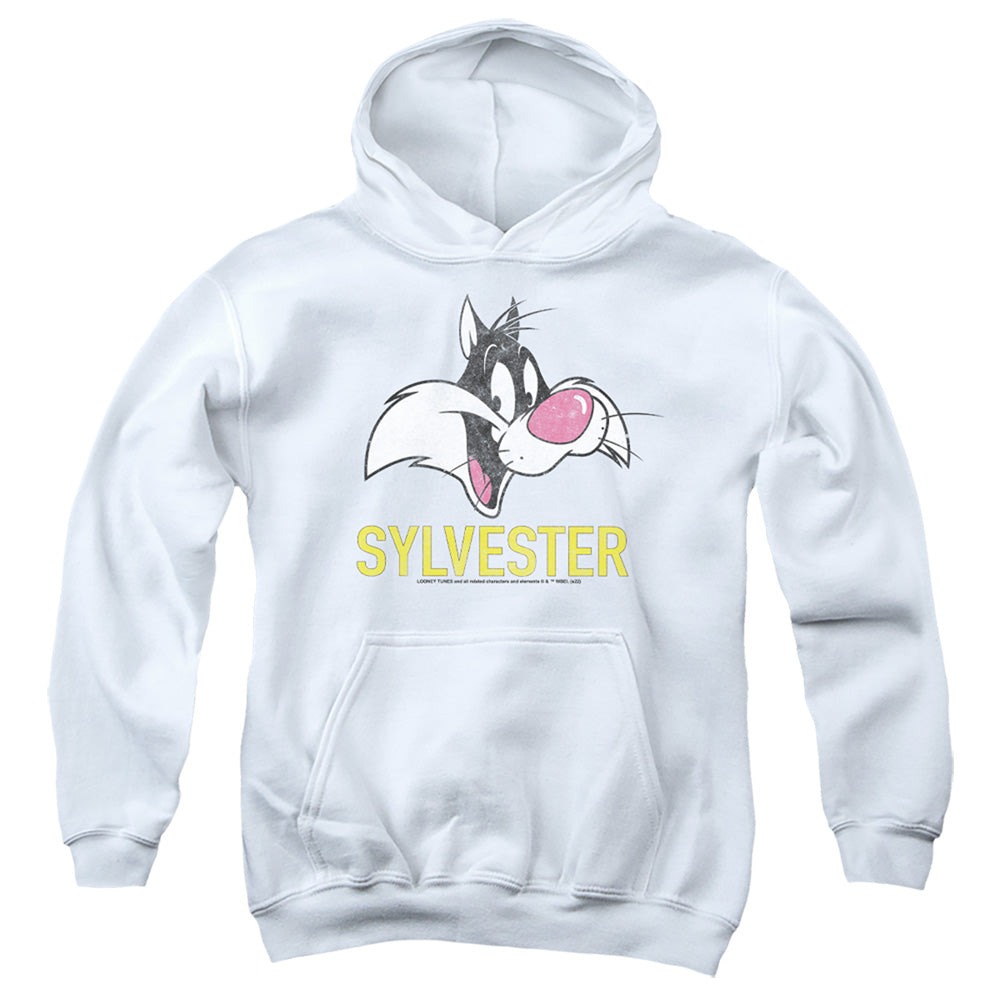 Looney Tunes Sylvester Youth Hoodie