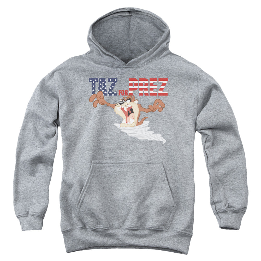 Looney Tunes Taz For Prez 3 Youth Hoodie