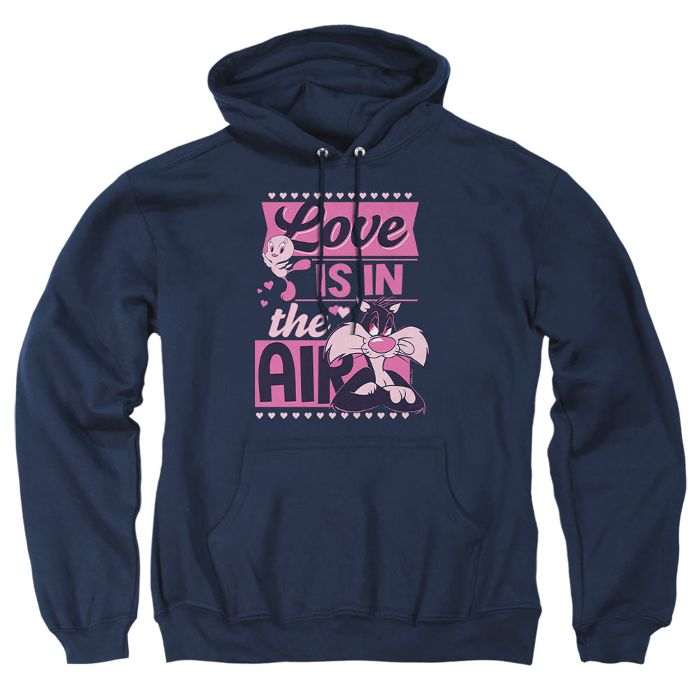 Looney Tunes Valentine'S Day Tweety Sylvester Love In The Air Pullover Hoodie