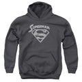 Superman Super Arch Youth Hoodie