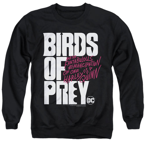Birds of Prey Birds Of Prey Logo Crewneck Sweatshirt