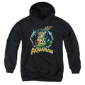 Justice League Ruler Of The Seas Youth Hoodie