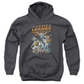 Justice League Big Group Youth Hoodie