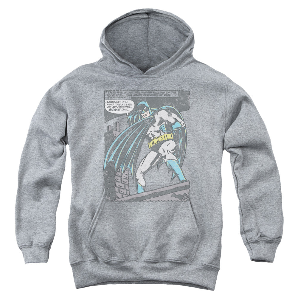 Batman Bat Origins Youth Hoodie