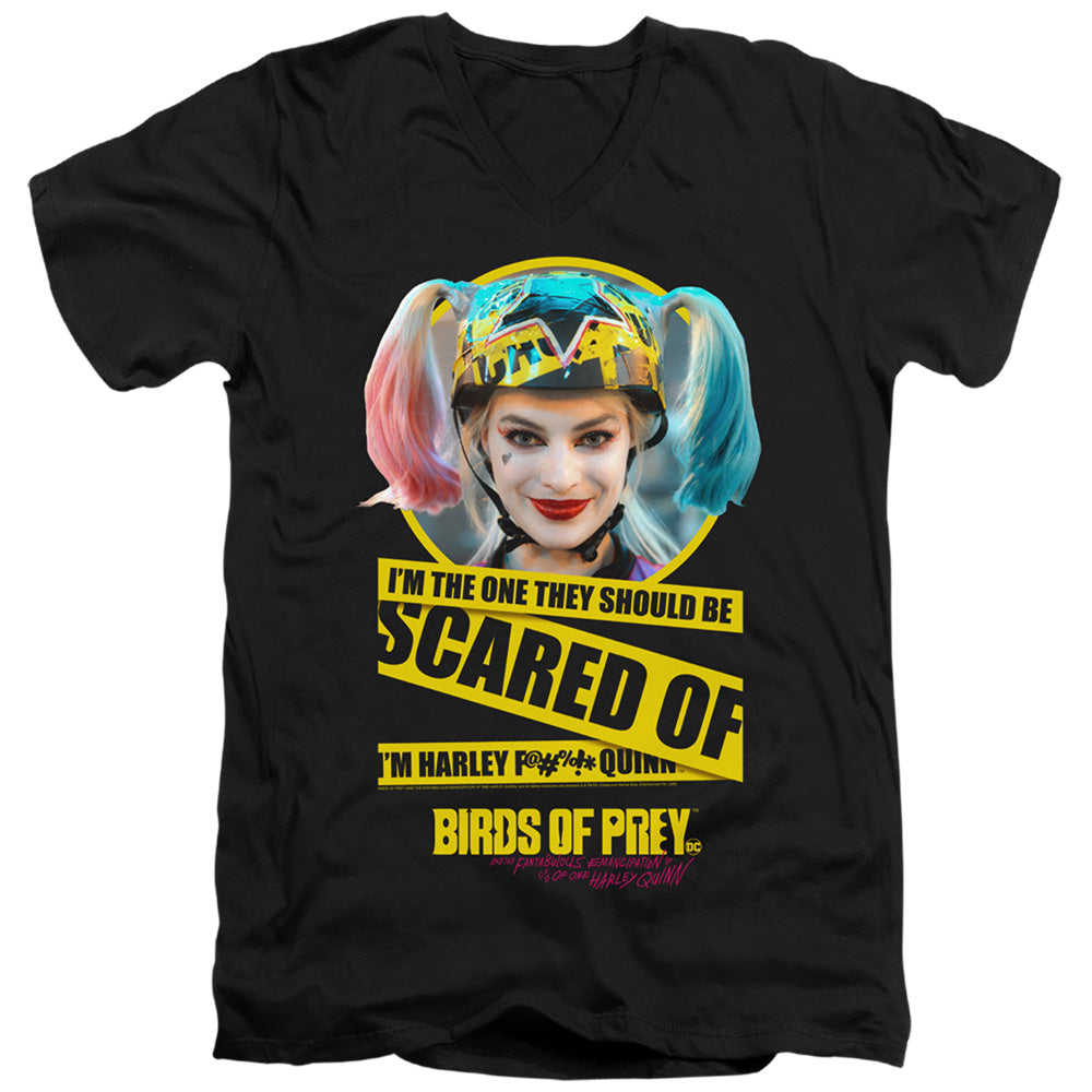 Birds of Prey Scared Of V-Neck T-Shirt