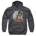 Wild Wings Painted Horses Youth Hoodie