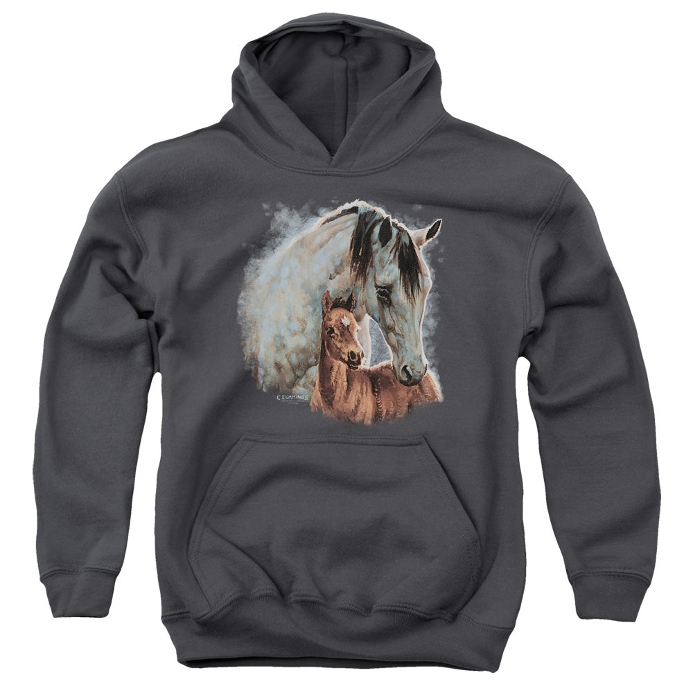 Wild Wings Painted Horses Youth Hoodie