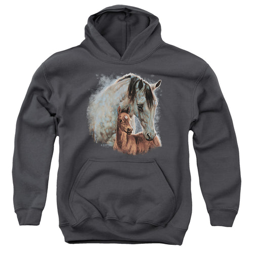 Wild Wings Painted Horses Youth Hoodie