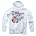 Transformers Spray Panels Youth Hoodie