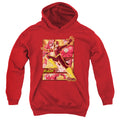 Justice League Flash Youth Hoodie