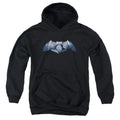 Batman v Superman Plated Bat Logo Youth Hoodie