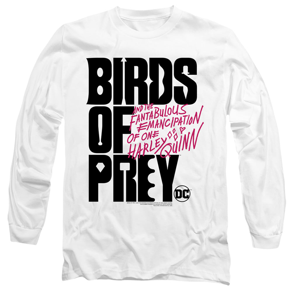 Birds of Prey Birds Of Prey Logo Long Sleeve T-Shirt