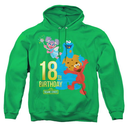Sesame Street 18th Birthday Pullover Hoodie