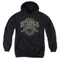 Superman University of Metropolis Youth Hoodie