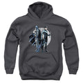Batman Spotlight Youth Hoodie