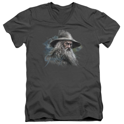 The Hobbit Gandalf the Grey V-Neck T-Shirt