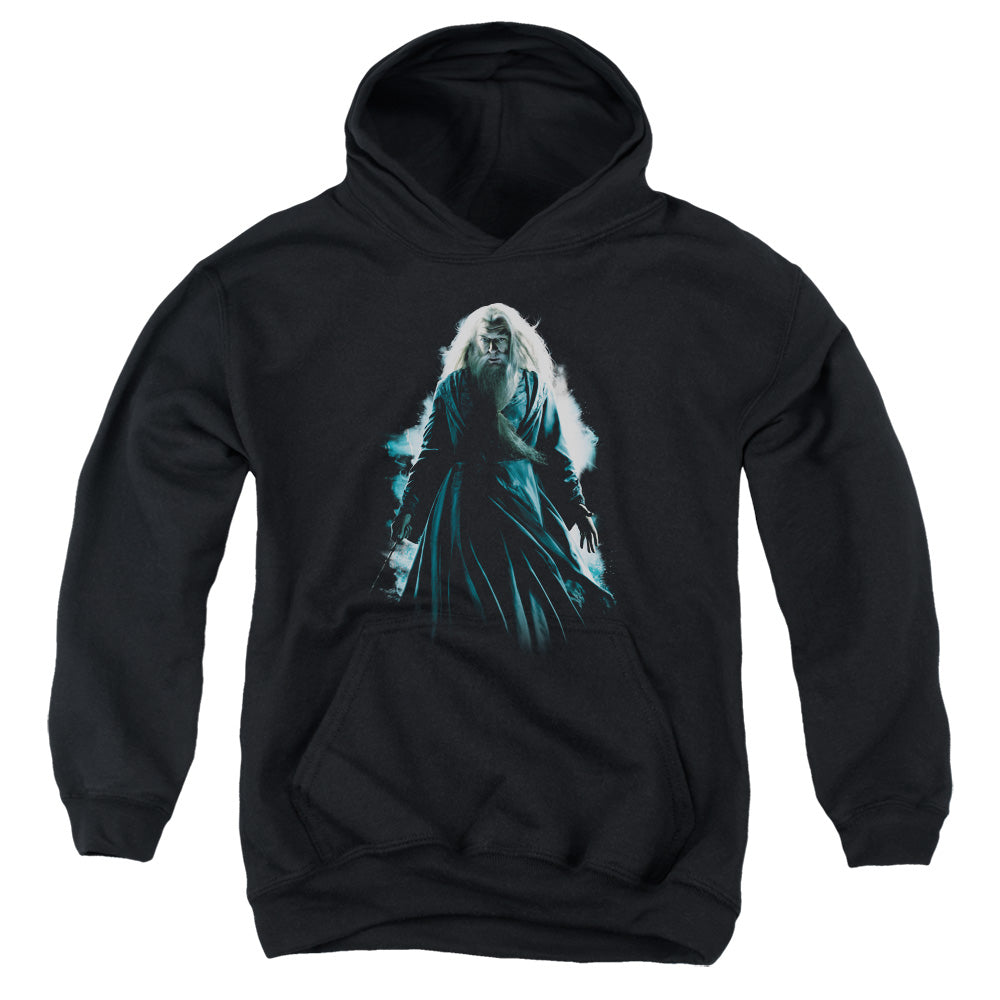 Harry Potter Dumbledore Burst Youth Hoodie