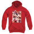 Justice League Wonder Woman Panels Youth Hoodie