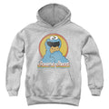 Sesame Street Cookie Monster Layers Youth Hoodie