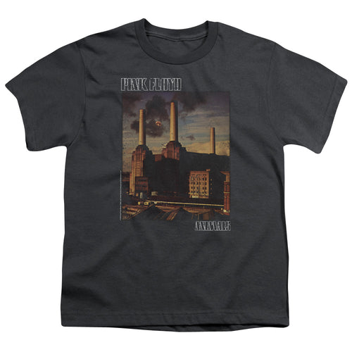 Pink Floyd Faded Animals Youth/Toddler T-Shirt