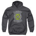Green Lantern Beware Youth Hoodie