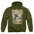 Wild Wings Bucks Pullover Hoodie