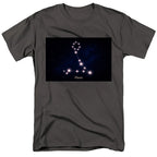 Pisces Stars Charcoal