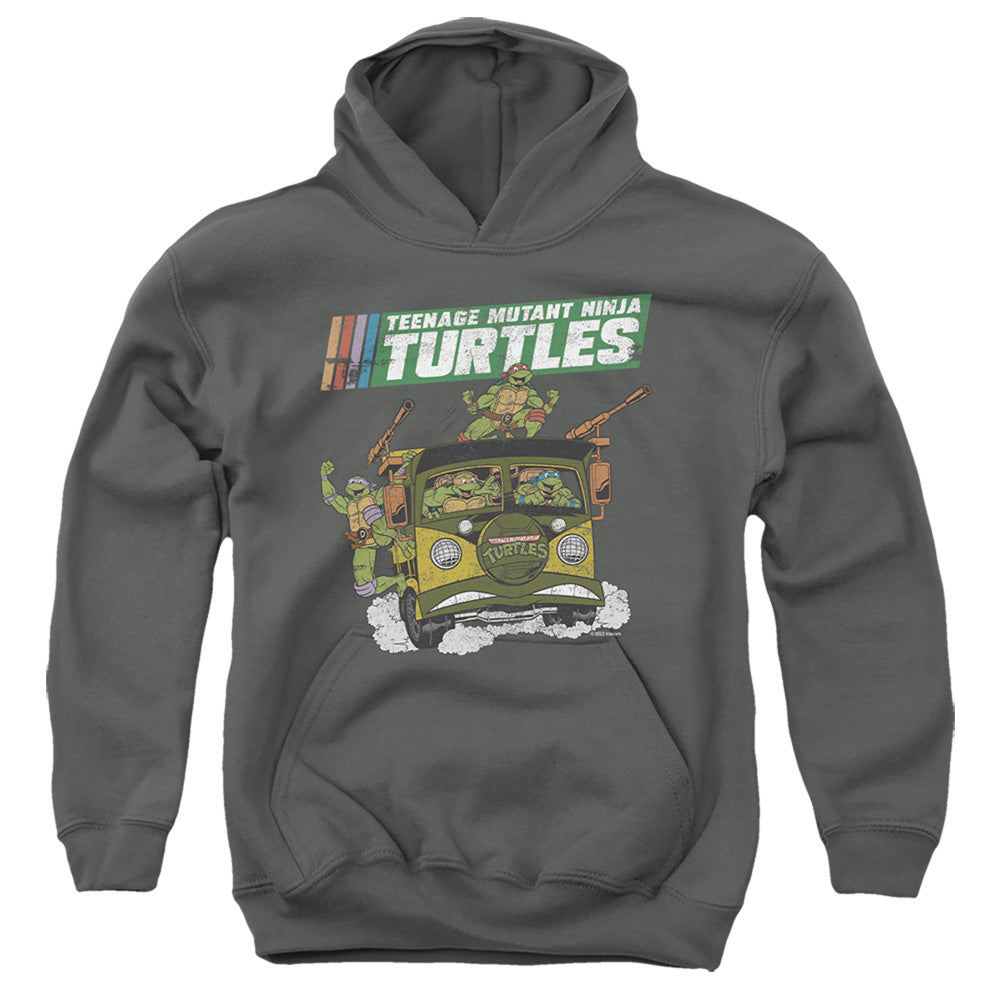 Teenage Mutant Ninja Turtles Van Youth Hoodie