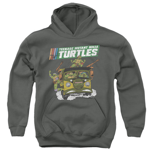Teenage Mutant Ninja Turtles Van Youth Hoodie