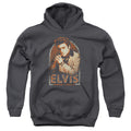 Elvis Presley Stripes Youth Hoodie