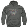 Wonder Woman 1984 Static TV Lines Youth Hoodie