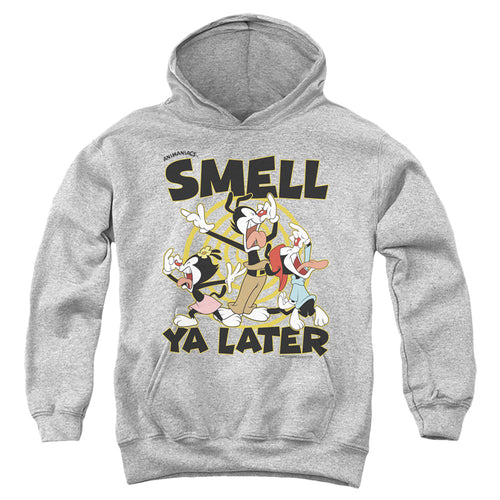 Animaniacs Smell Ya Later Youth Hoodie