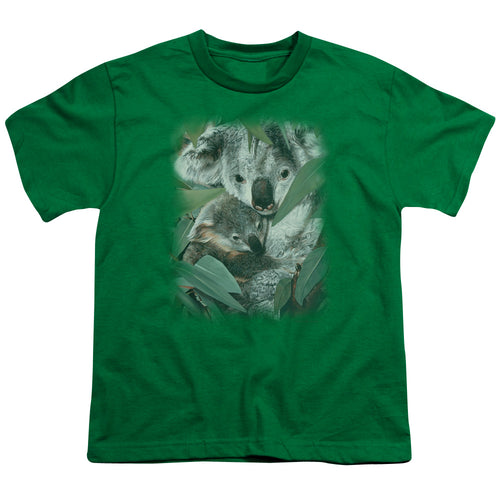 Wild Wings Motherhood Koalas Youth/Toddler T-Shirt
